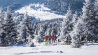 SKIALPINIZM